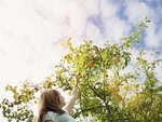 Sustainability affects all aspects of the cleaning industry.