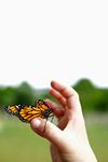 Sustainability can help deliver the triple bottom line of people, planet and profit.